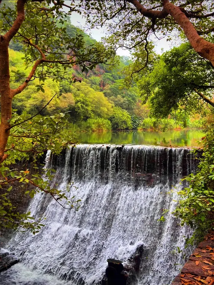 Waterfall surrounded by green forest